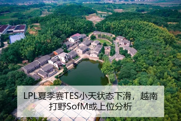 LPL夏季赛TES小天状态下滑，越南打野SofM或上位分析